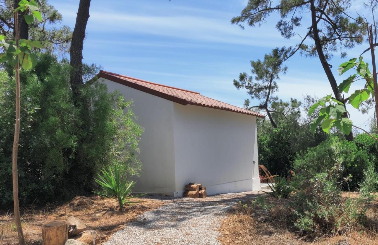 Quinta Do Alento Bed and Breakfast Sesimbra Exteriör bild